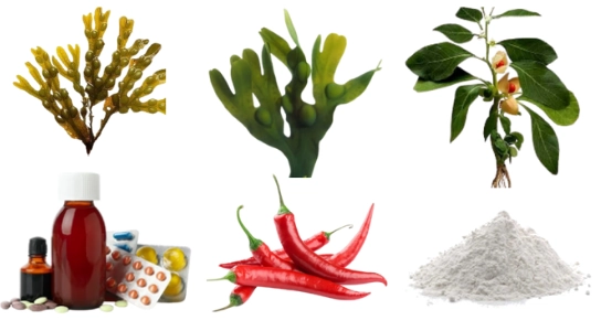 VivoGut Ingredients